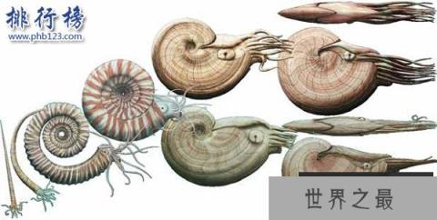 奥陶纪十大恐怖生物 揭秘奥陶纪生物大灭绝原因