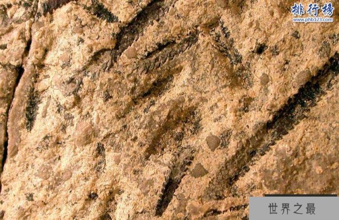 奥陶纪十大恐怖生物 揭秘奥陶纪生物大灭绝原因