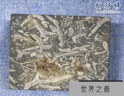 奥陶纪十大恐怖生物 揭秘奥陶纪生物大灭绝原因