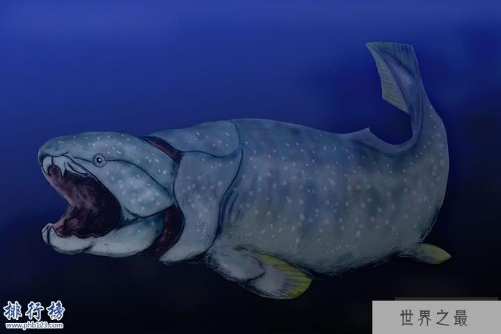 奥陶纪十大恐怖生物 揭秘奥陶纪生物大灭绝原因