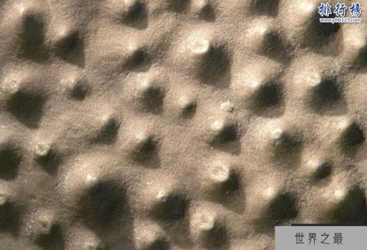 奥陶纪十大恐怖生物 揭秘奥陶纪生物大灭绝原因