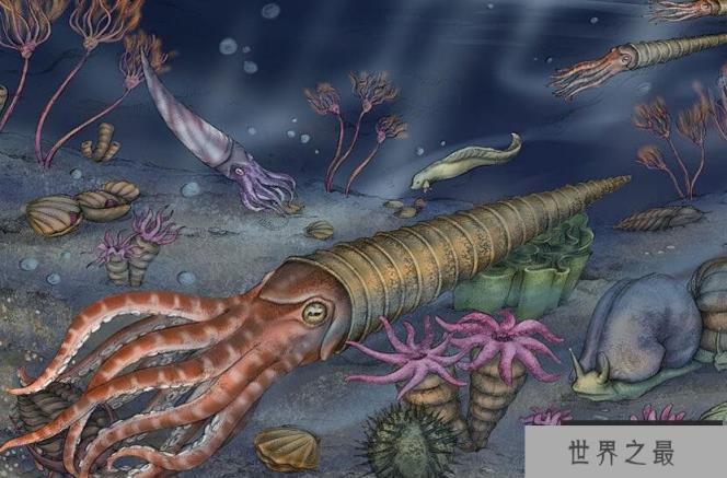 奥陶纪十大恐怖生物 揭秘奥陶纪生物大灭绝原因