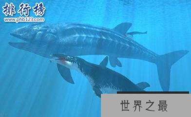 最大的硬骨鱼类:利兹鱼身长35米,体重如同三头非洲象
