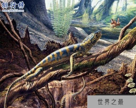 石炭纪十大恐怖生物 揭晓石炭纪生物大灭绝真相