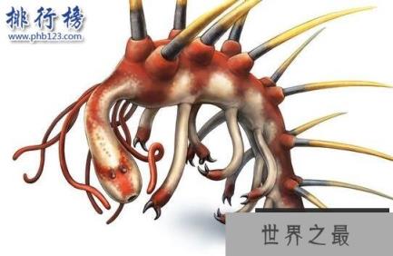 怪诞虫