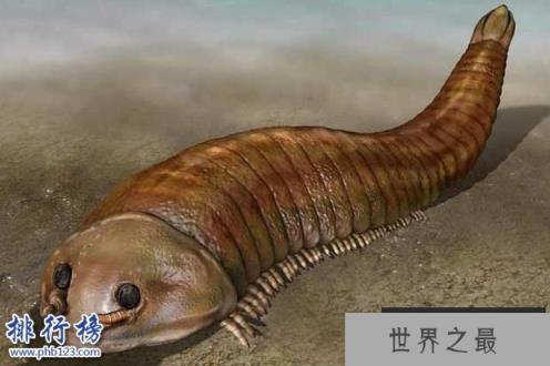 寒武纪十大恐怖生物：奇虾成地球霸主 恐龙是它晚辈