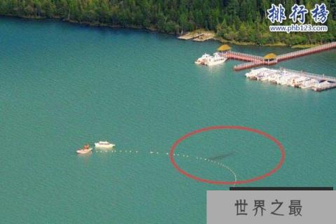 新疆喀纳斯湖水怪之谜真相大白,疑似15米32吨的巨型哲罗鲑(视频)