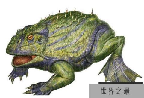 世界上最大的青蛙,魔鬼蛙恐怖至极