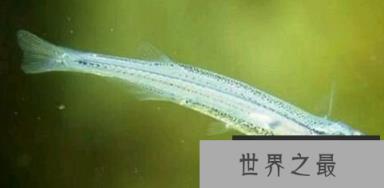 1587867322118469.png 1.png