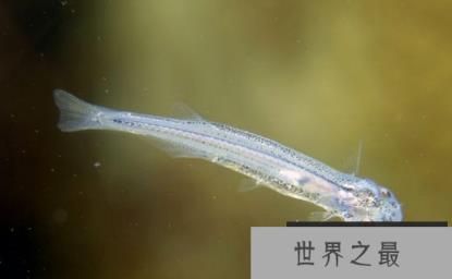 1587867293876548.png 微信截图_20200106102307.png