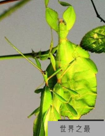 1587966929945140.png 微信截图_20200401111937.png