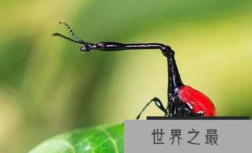 1587966935750121.png 微信截图_20200106102307.png