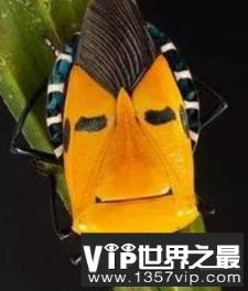 1587966941437118.png 1.png