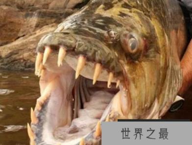 1588037661330501.png 微信截图_20200106102307.png