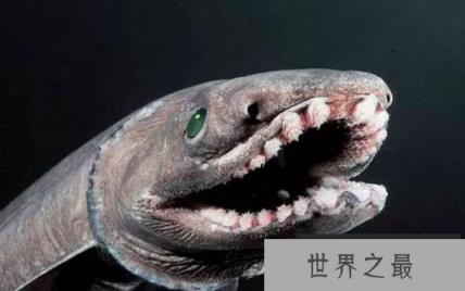 1588037666180525.png 1.png