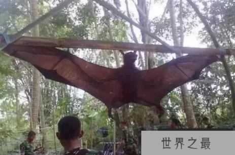 1588037934872449.png 微信截图_20200106102307.png