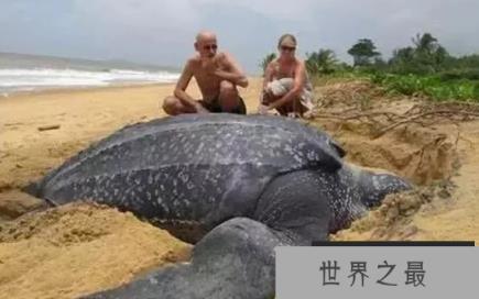 1588037940760868.png 1.png