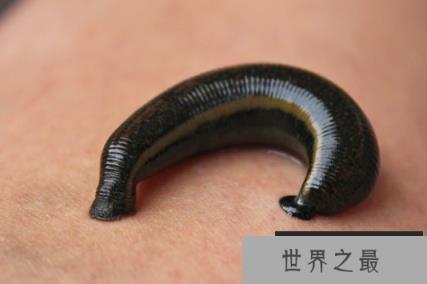 1588038180767369.png 1.png