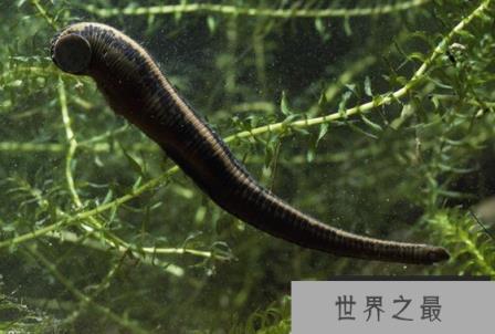 1588038187861981.png 微信截图_20200106102307.png