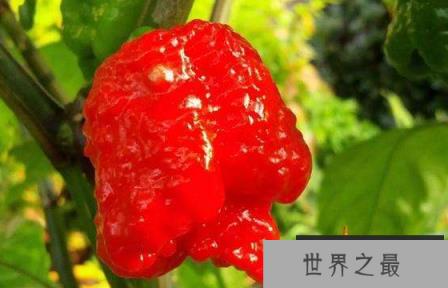 1588043603492328.png 1.png