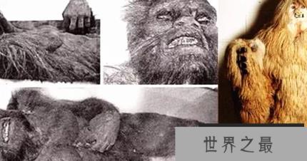 1588055780317005.png 微信截图_20200401111937.png