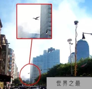 1588055786617357.png 微信截图_20200106102307.png