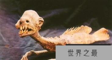 1587867570933263.png 1.png