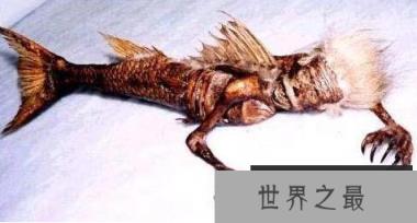 1587867582907460.png 微信截图_20200401175955.png