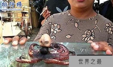 印尼章鱼人是真的吗?人头章鱼竟然发出婴儿啼哭声