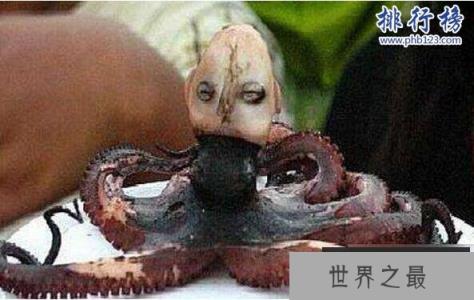 印尼章鱼人是真的吗?人头章鱼竟然发出婴儿啼哭声