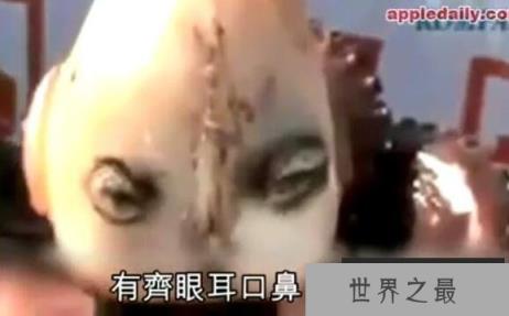 印尼章鱼人是真的吗?人头章鱼竟然发出婴儿啼哭声