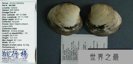 地球五大不死神兽：生命力爆表，第3种能偷DNA