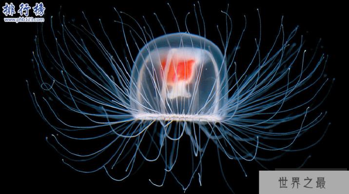 地球五大不死神兽：生命力爆表，第3种能偷DNA