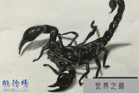 杀不死的十大生物,面对核武器都鄙夷不屑