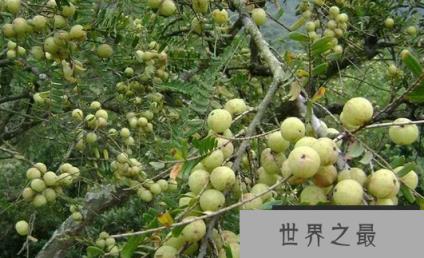 1588124556328103.png 微信截图_20200106102307.png