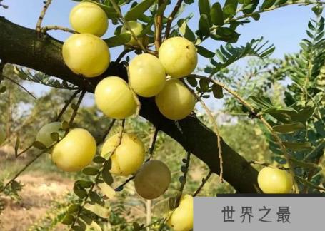 1588124560214231.png 1.png