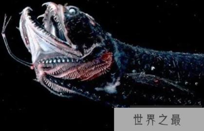 1588126760576308.png 微信截图_20200401111937.png