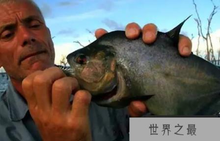 1588126765901696.png 微信截图_20200106102307.png