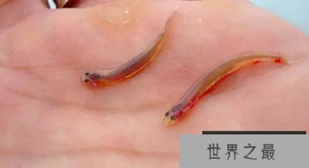 1588126770317558.png 1.png