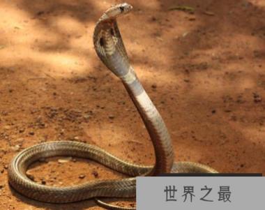 微信截图_20200106102307.png
