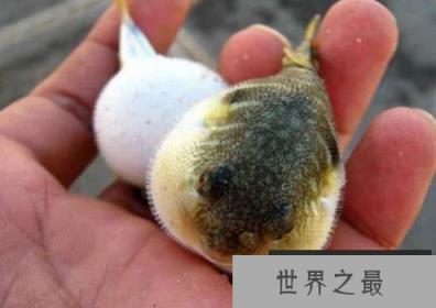 1588129744447025.png 1.png