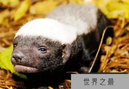 1588129749288627.png 微信截图_20200106102307.png