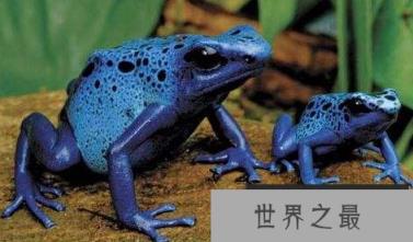 1588129754619860.png 微信截图_20200401111937.png