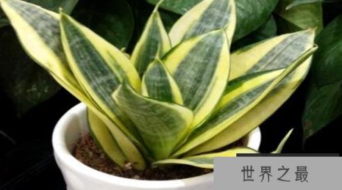 1581570820324677.png 微信截图_20200205094912.png