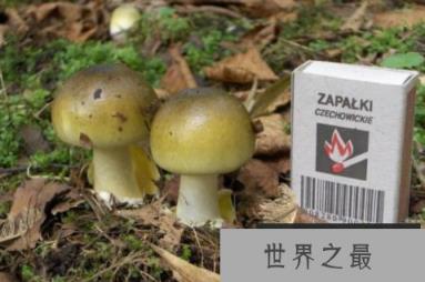 微信截图_20200119212700.png