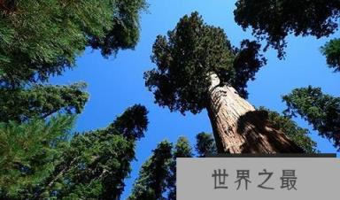 1585552011809757.png 1.png