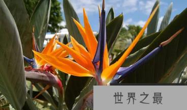 1586763668458411.png 1.png