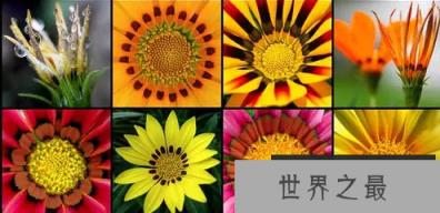 1586763678397837.png 微信截图_20200401111937.png