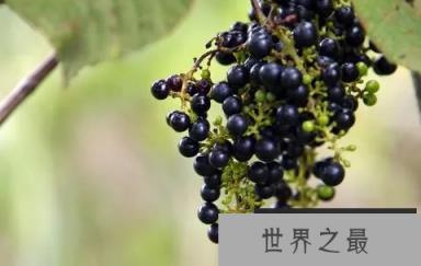 1586855189610665.png 微信截图_20200106102307.png