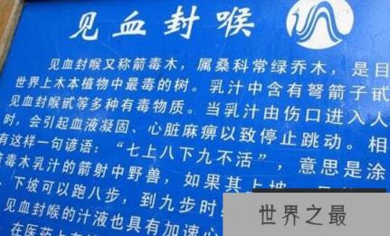 世界上最毒的树，见血封喉树